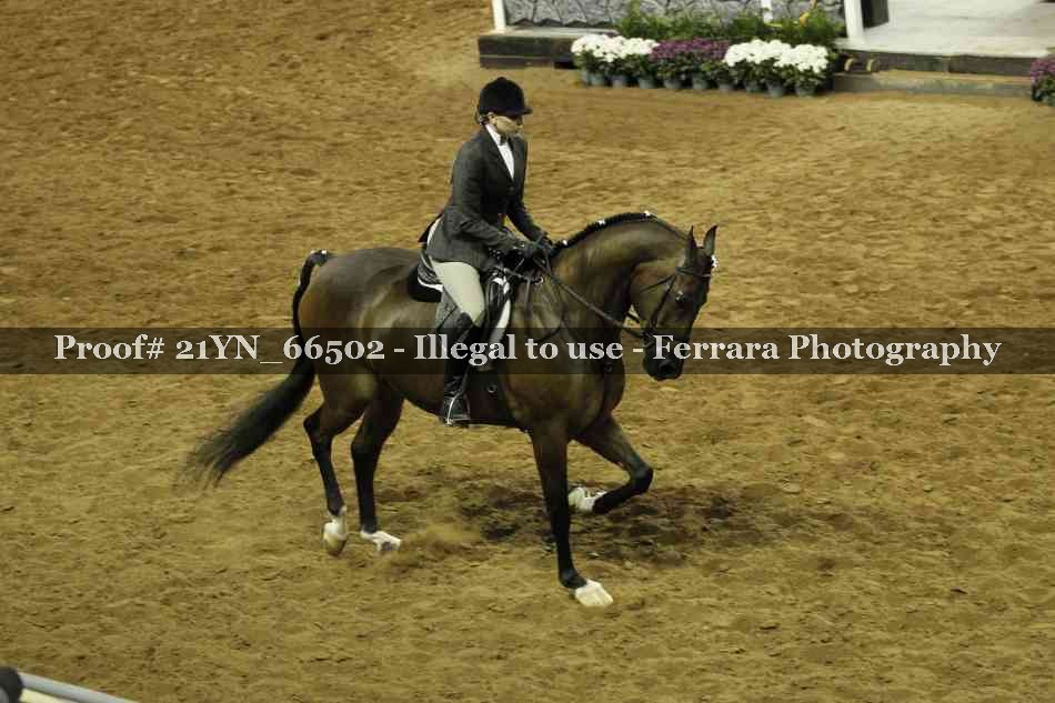 Proof 21YN_66502