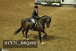 21YN_66502 proof