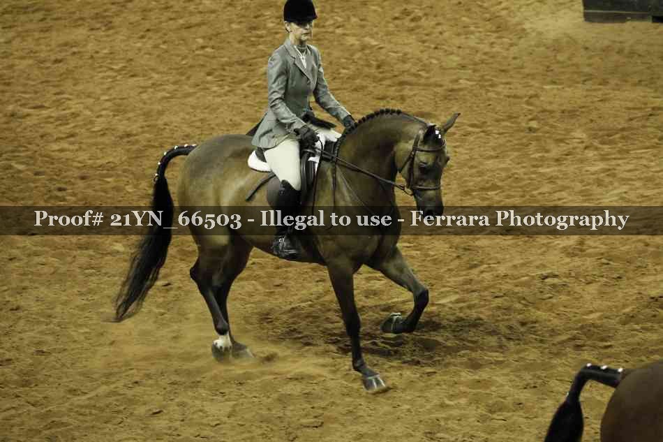 Proof 21YN_66503