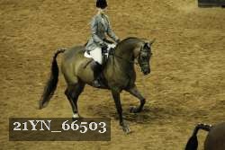 21YN_66503 proof