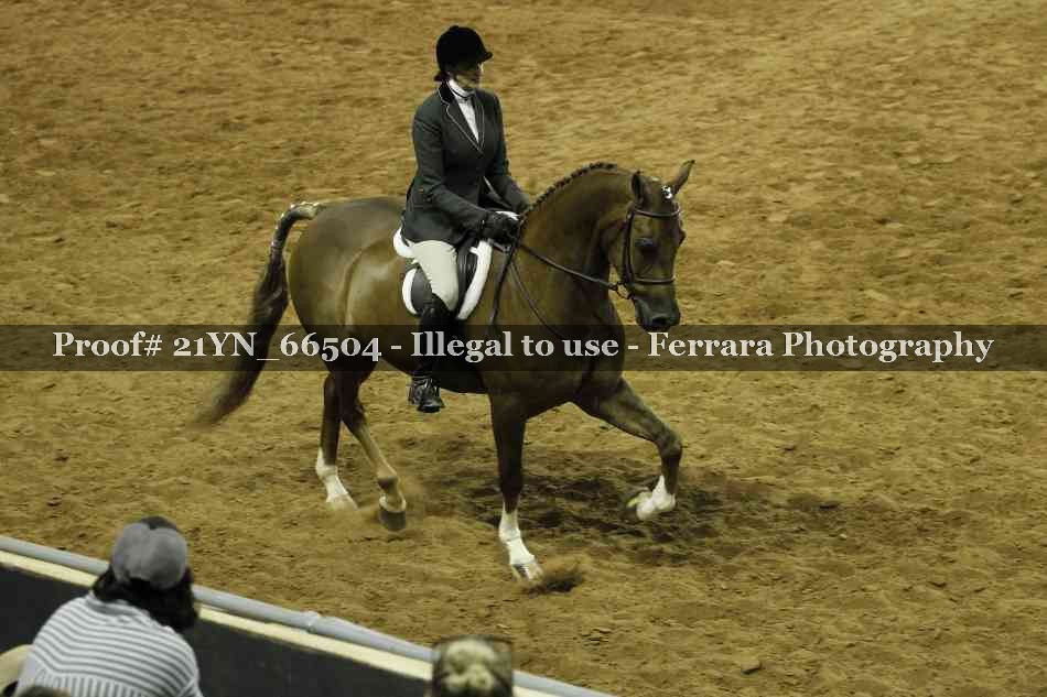Proof 21YN_66504