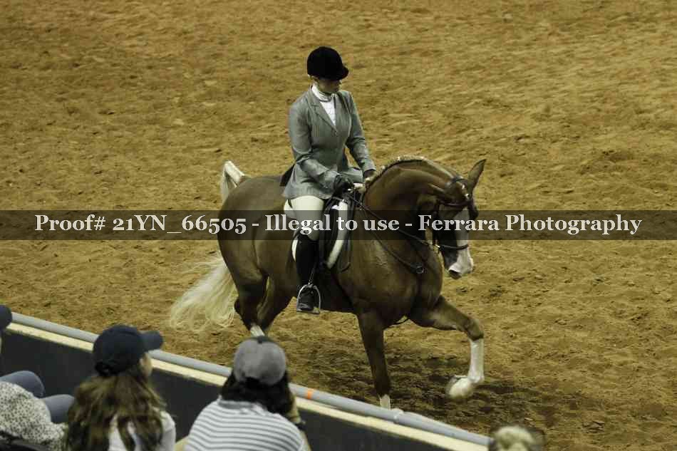 Proof 21YN_66505