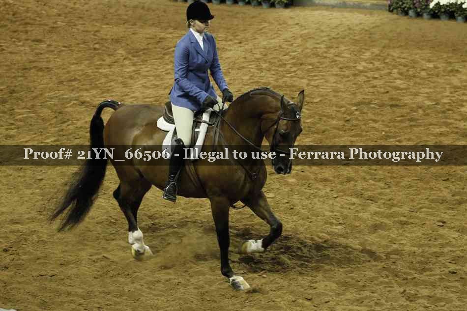 Proof 21YN_66506