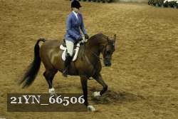 21YN_66506 proof