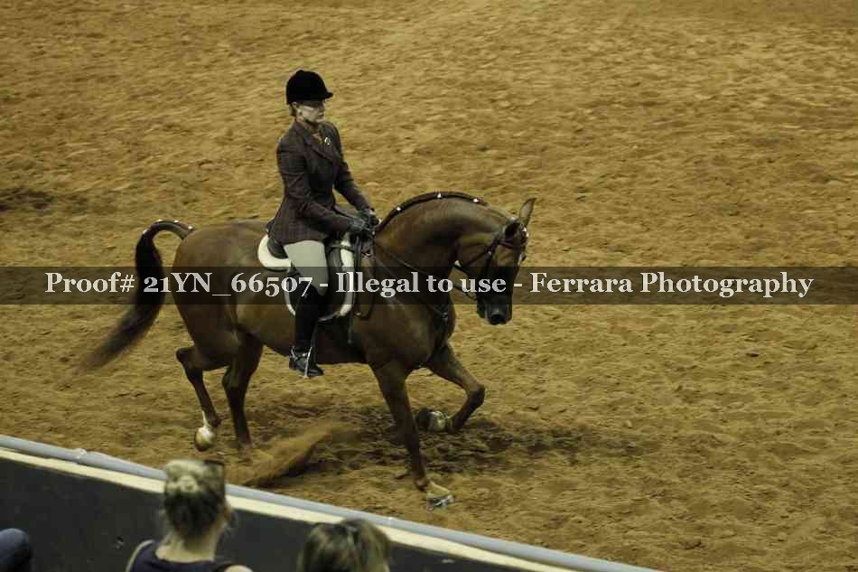 Proof 21YN_66507