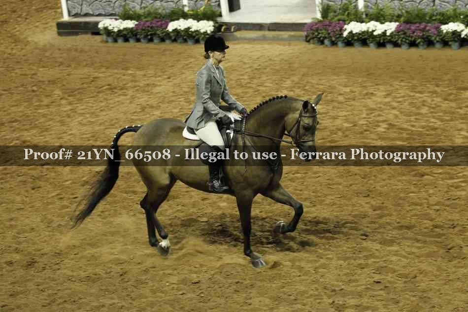 Proof 21YN_66508