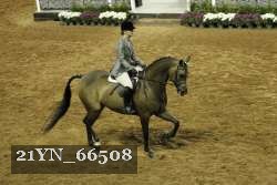 21YN_66508 proof