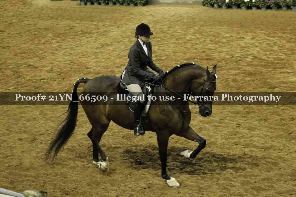 Proof 21YN_66509