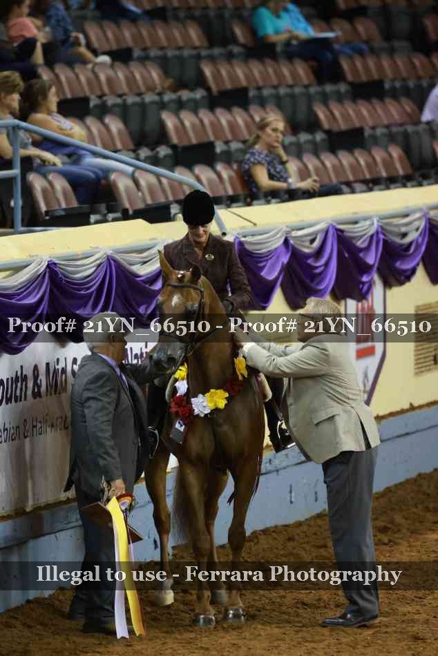 Proof 21YN_66510