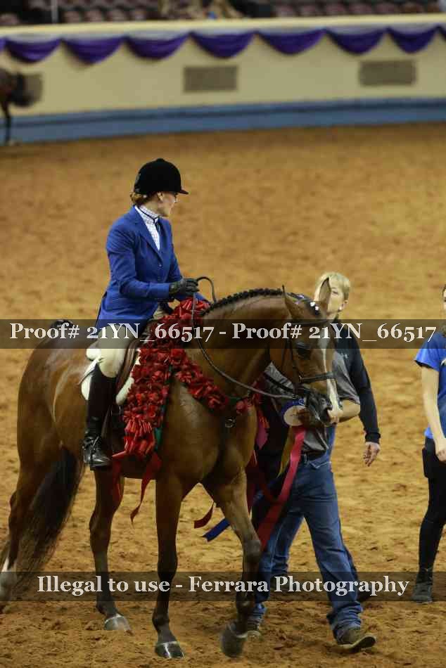 Proof 21YN_66517