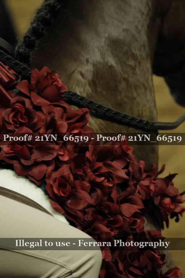 Proof 21YN_66519