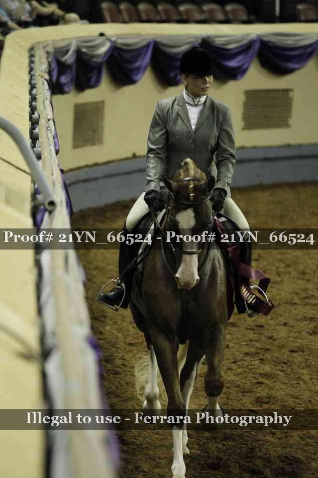 Proof 21YN_66524