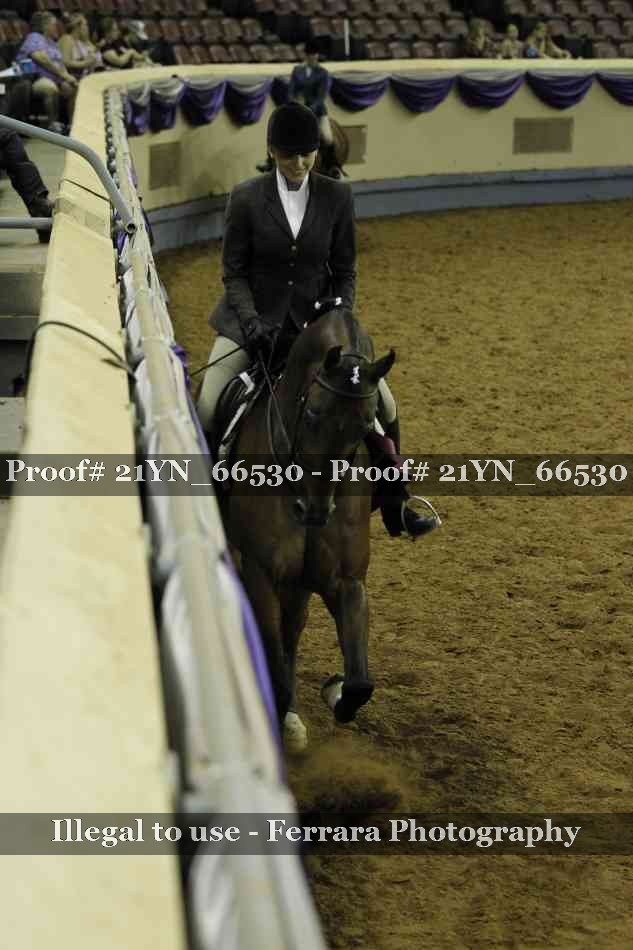 Proof 21YN_66530