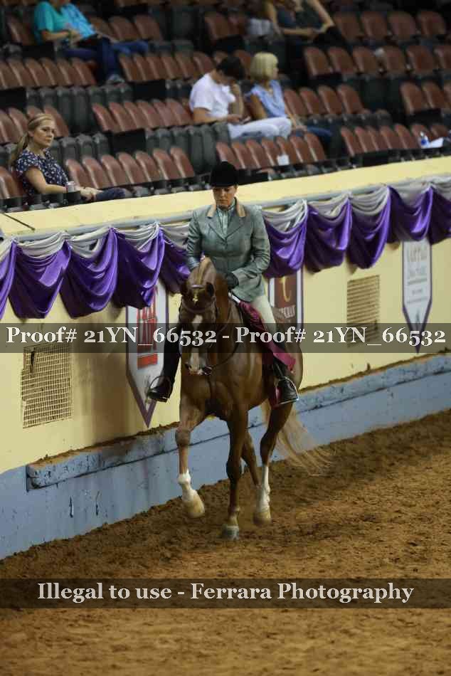 Proof 21YN_66532