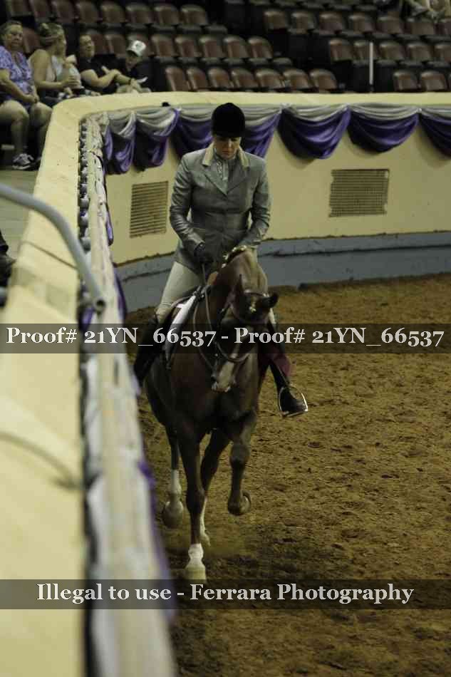 Proof 21YN_66537