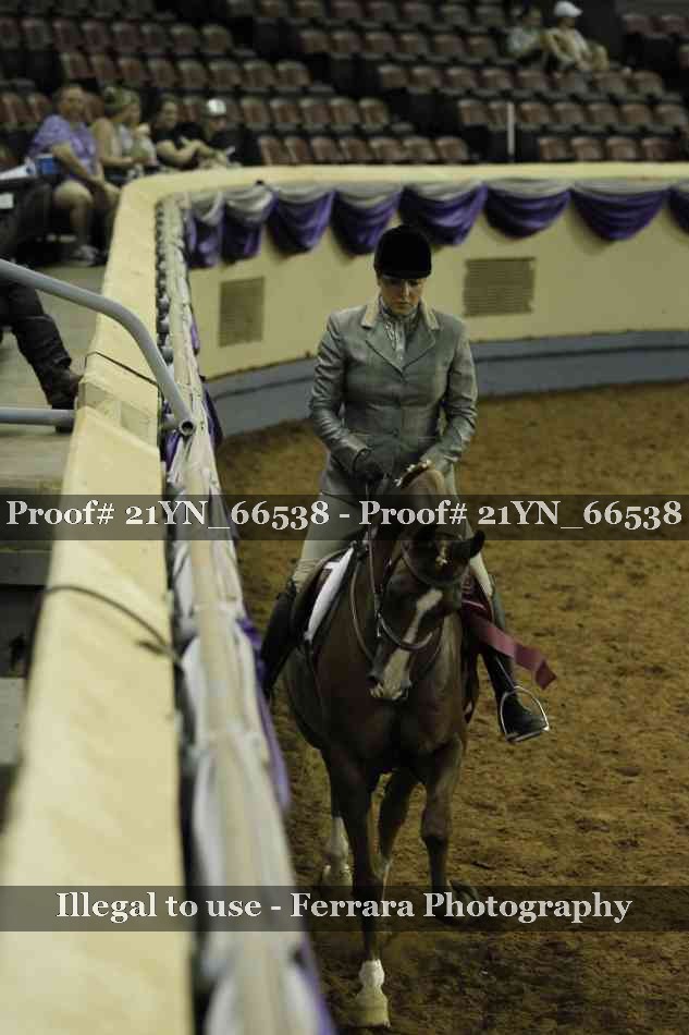 Proof 21YN_66538