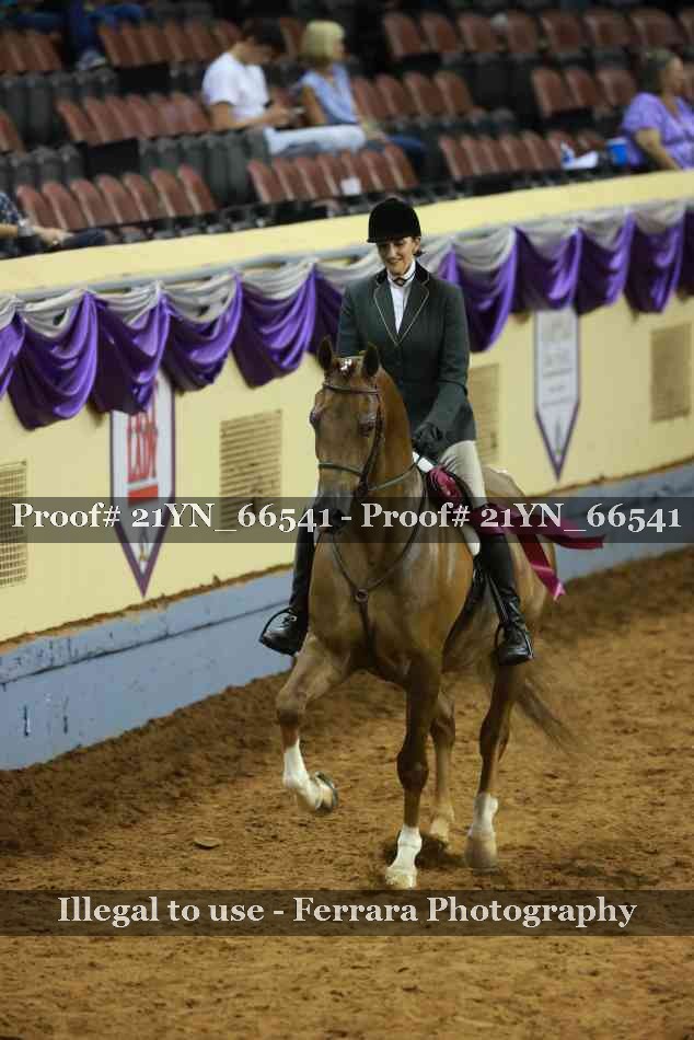 Proof 21YN_66541