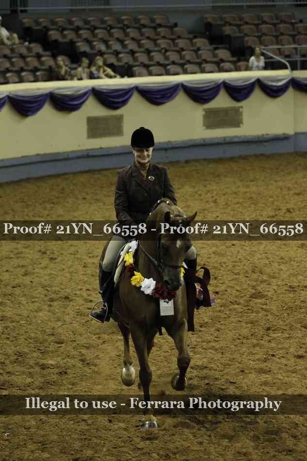 Proof 21YN_66558