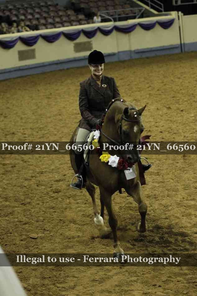 Proof 21YN_66560