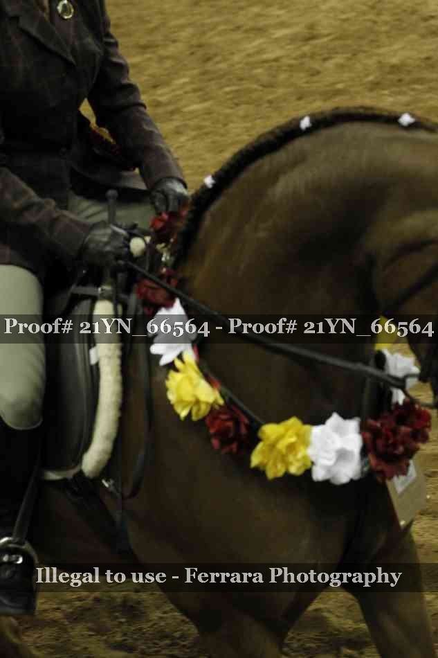 Proof 21YN_66564