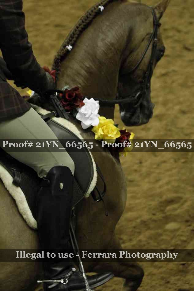 Proof 21YN_66565