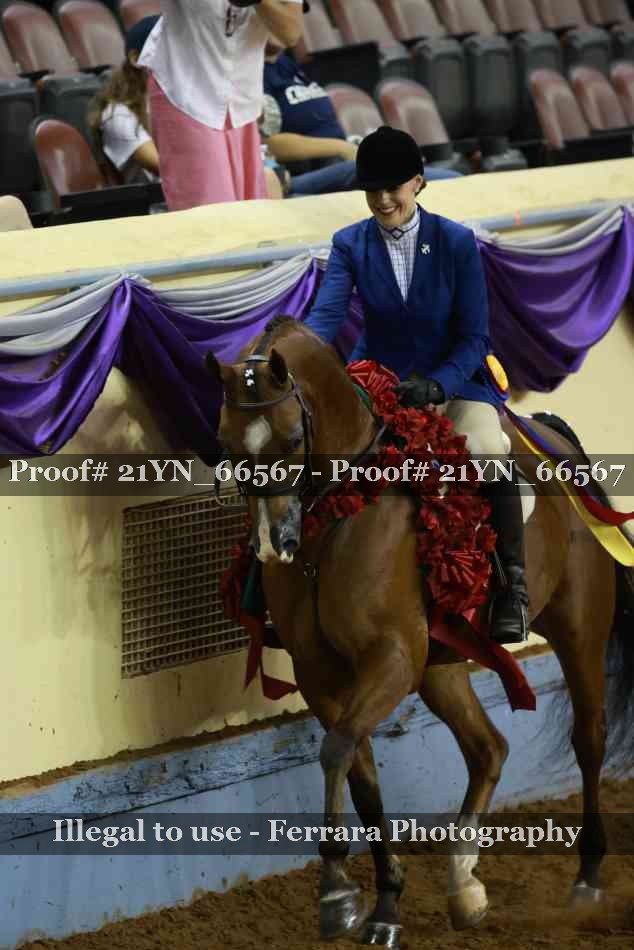 Proof 21YN_66567