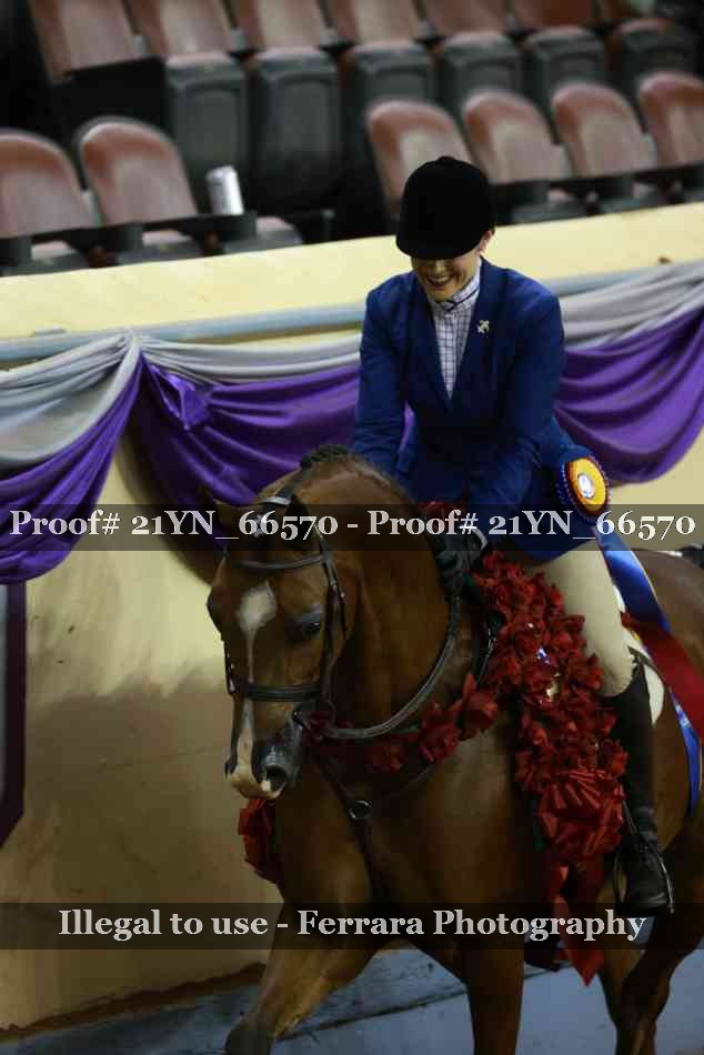Proof 21YN_66570