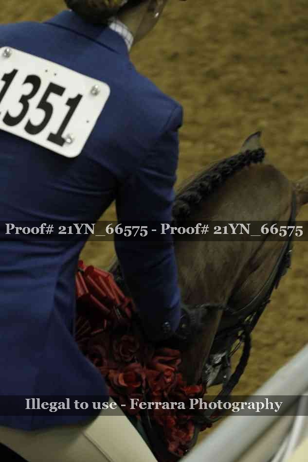 Proof 21YN_66575