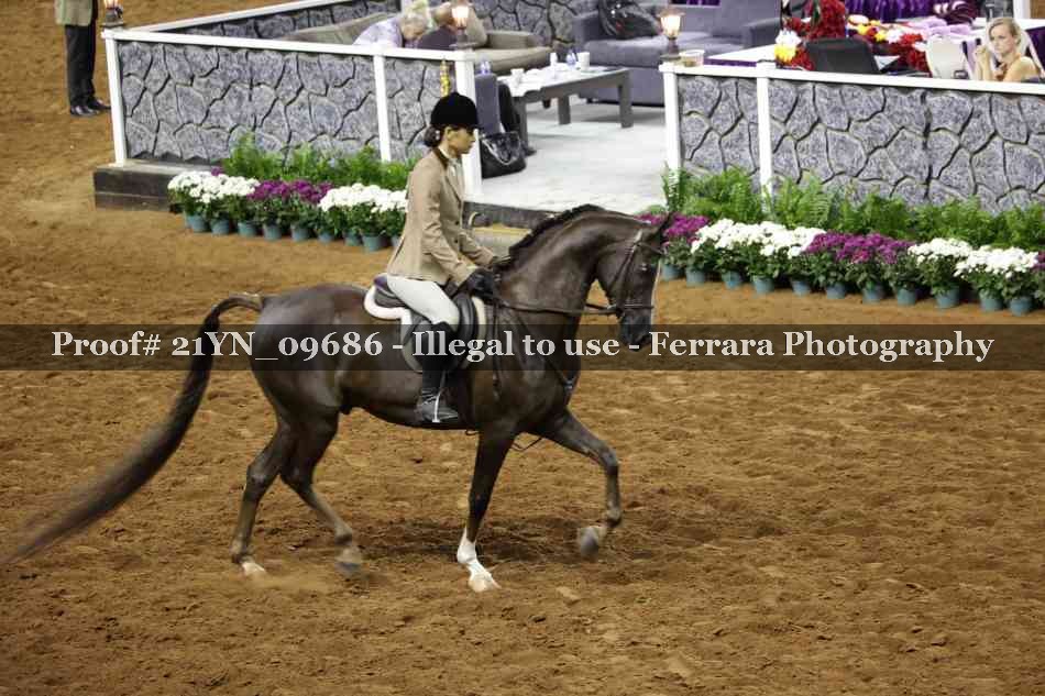 Proof 21YN_09686