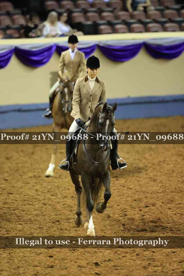 Proof 21YN_09688