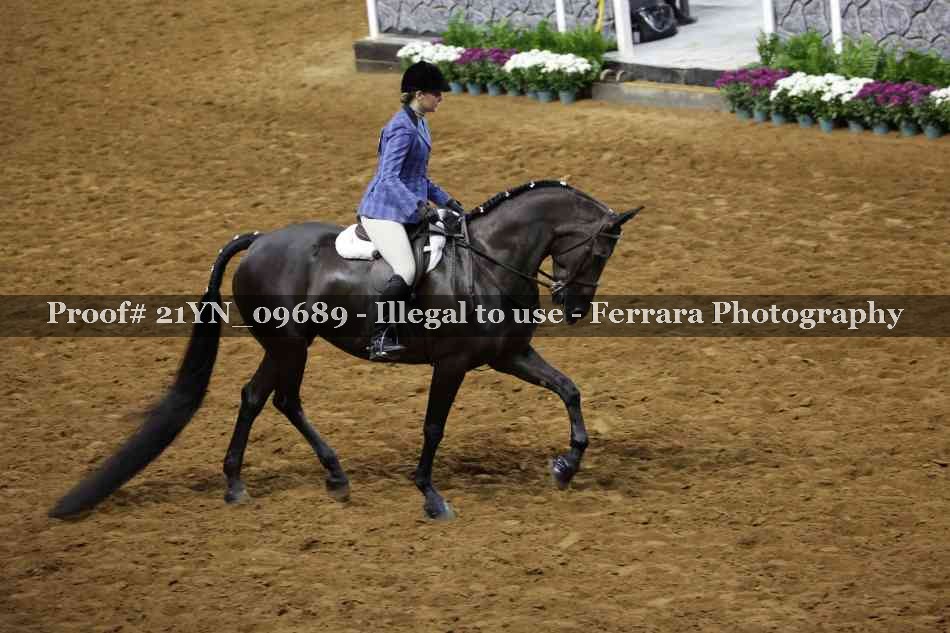 Proof 21YN_09689