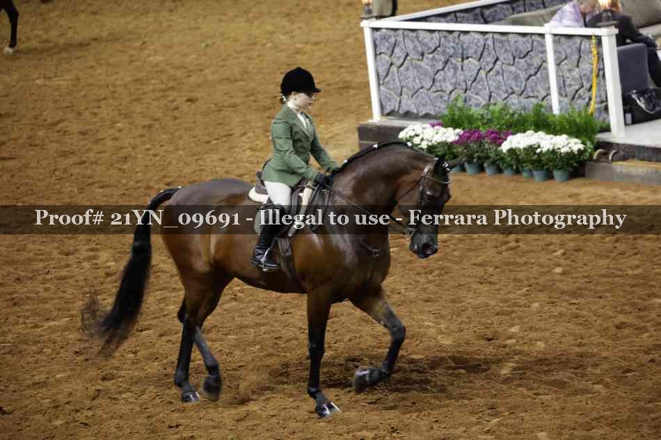 Proof 21YN_09691
