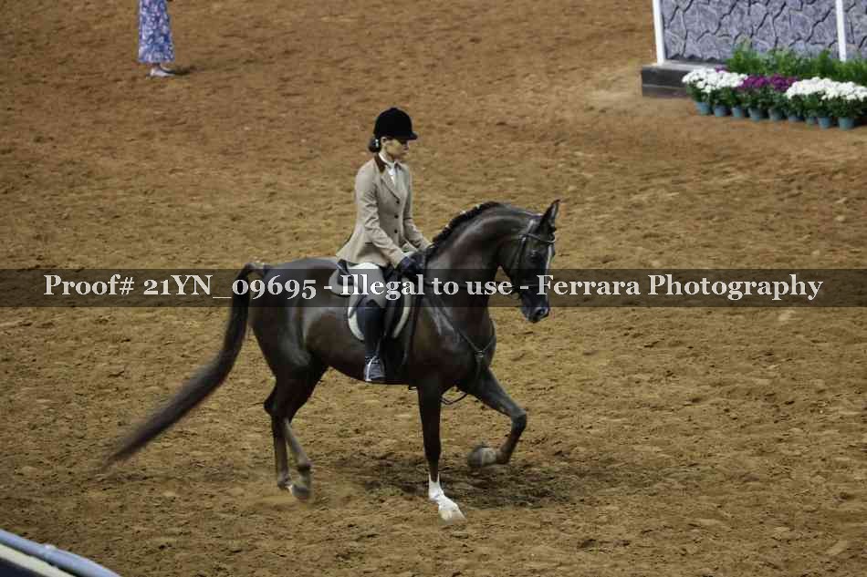 Proof 21YN_09695