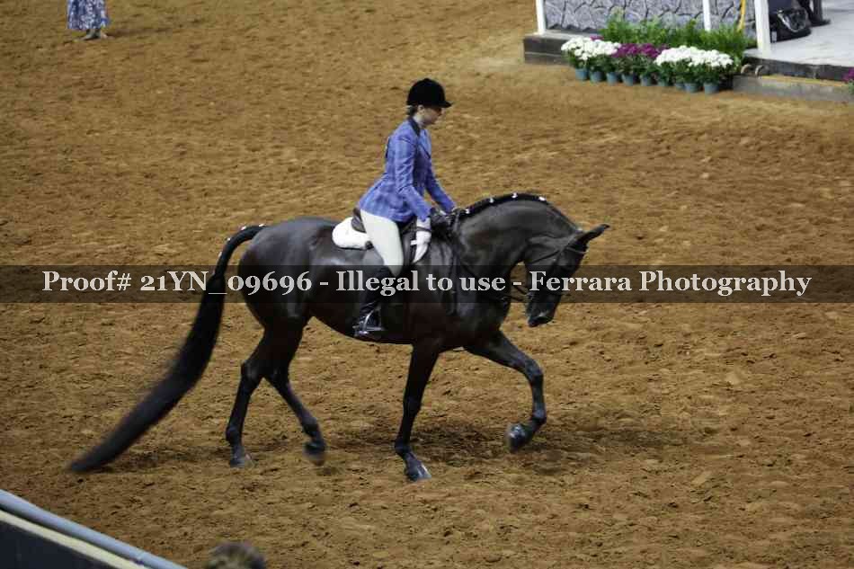 Proof 21YN_09696