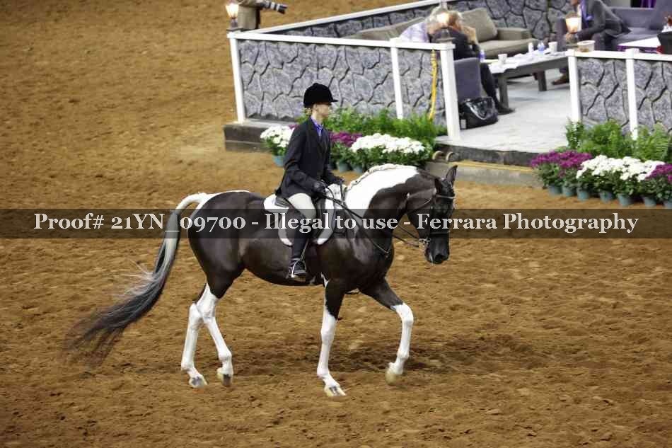 Proof 21YN_09700