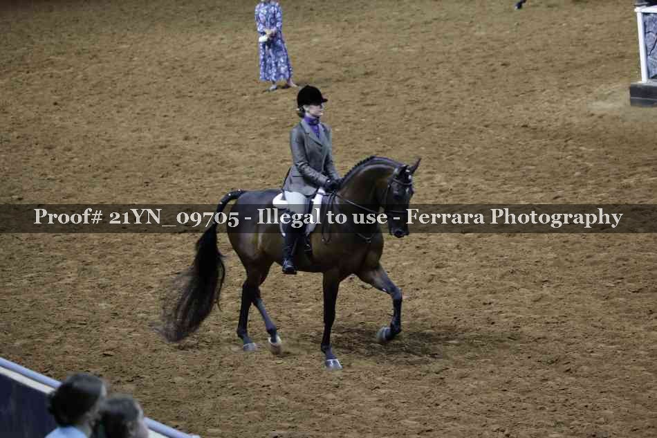 Proof 21YN_09705