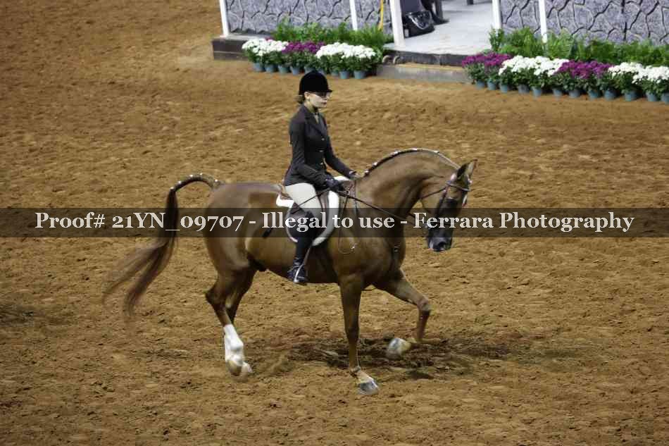 Proof 21YN_09707
