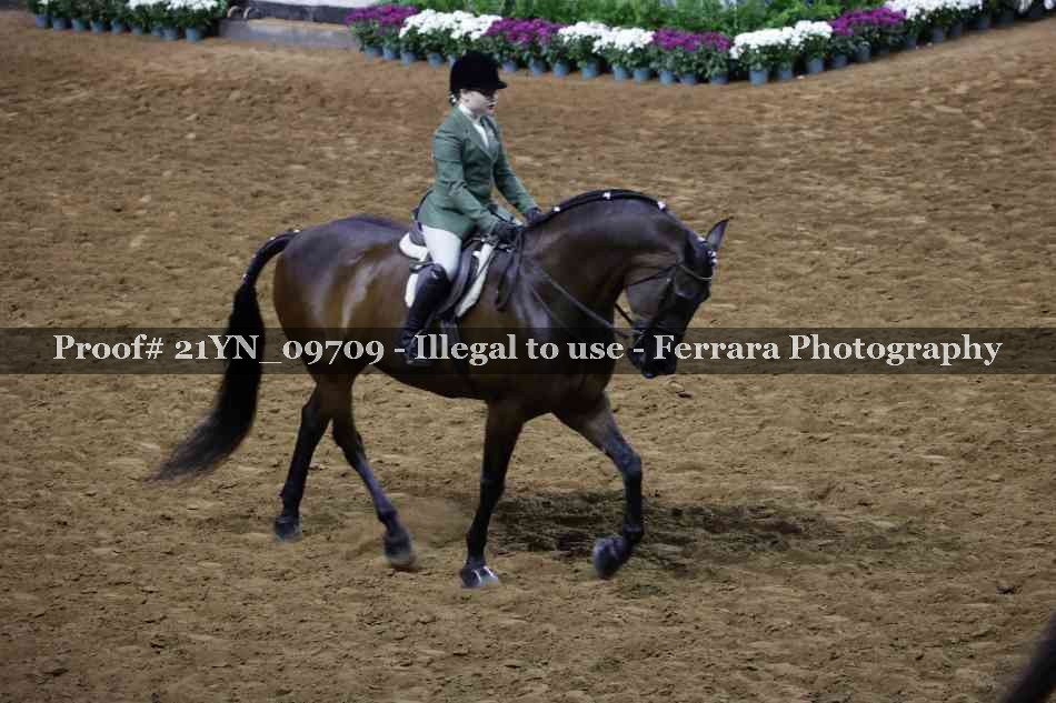 Proof 21YN_09709