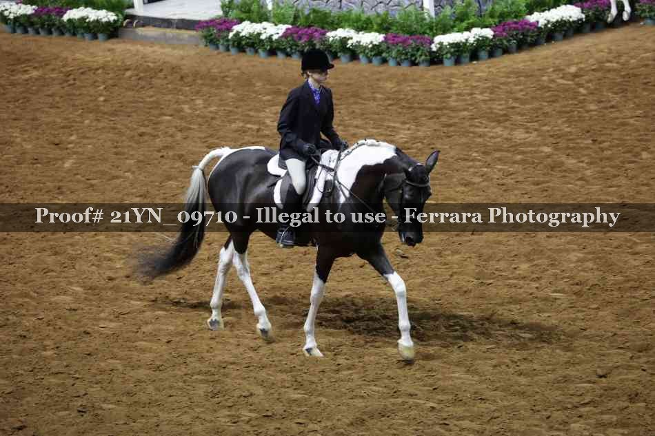 Proof 21YN_09710