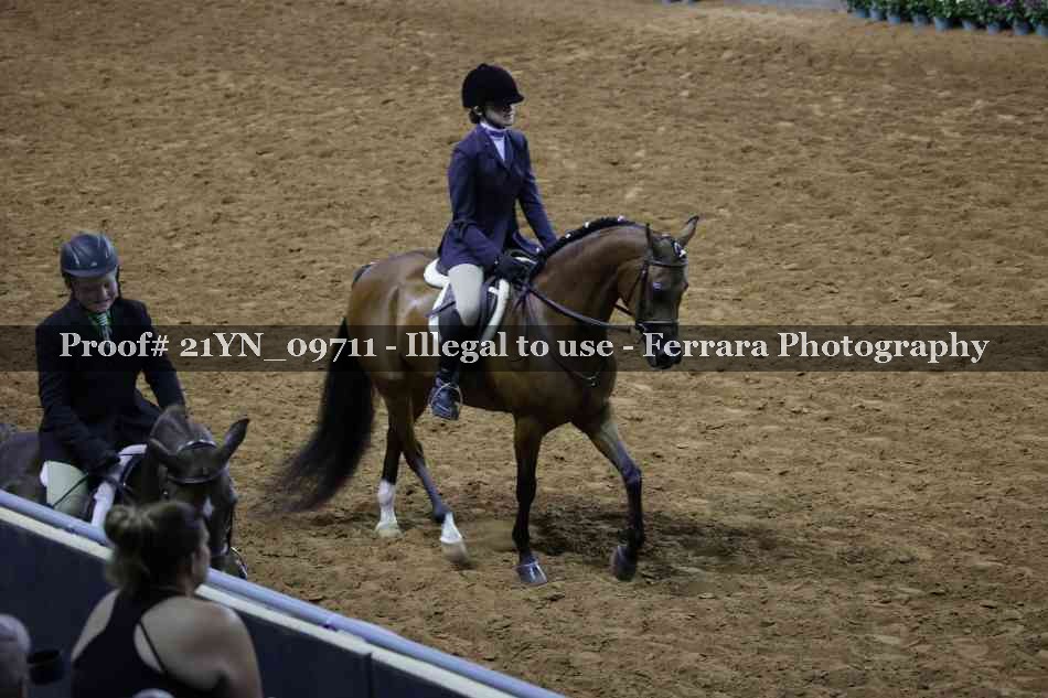 Proof 21YN_09711
