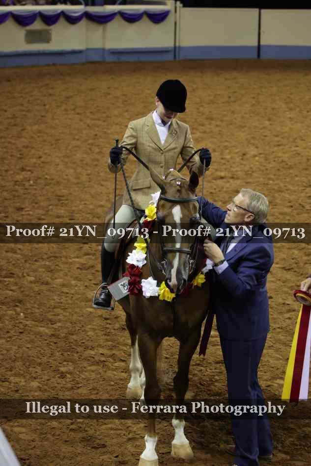 Proof 21YN_09713