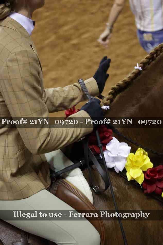 Proof 21YN_09720