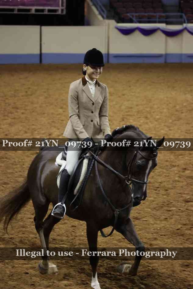 Proof 21YN_09739