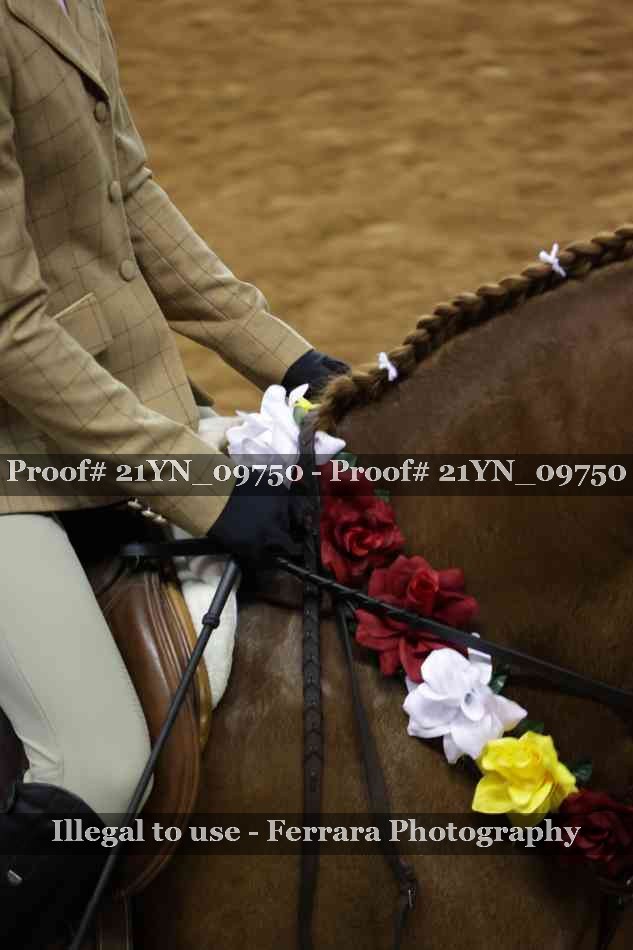 Proof 21YN_09750