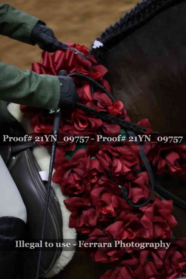 Proof 21YN_09757