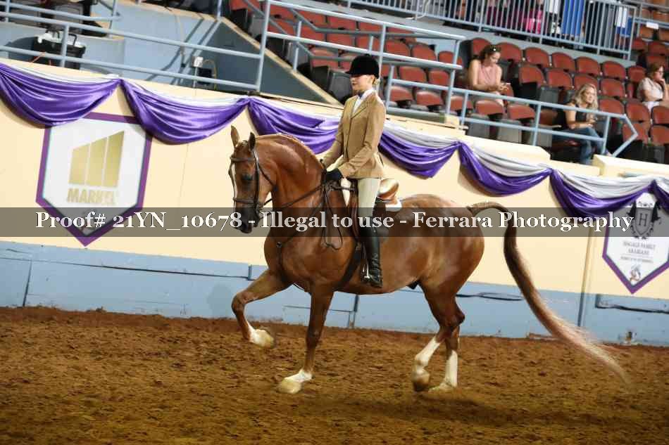Proof 21YN_10678