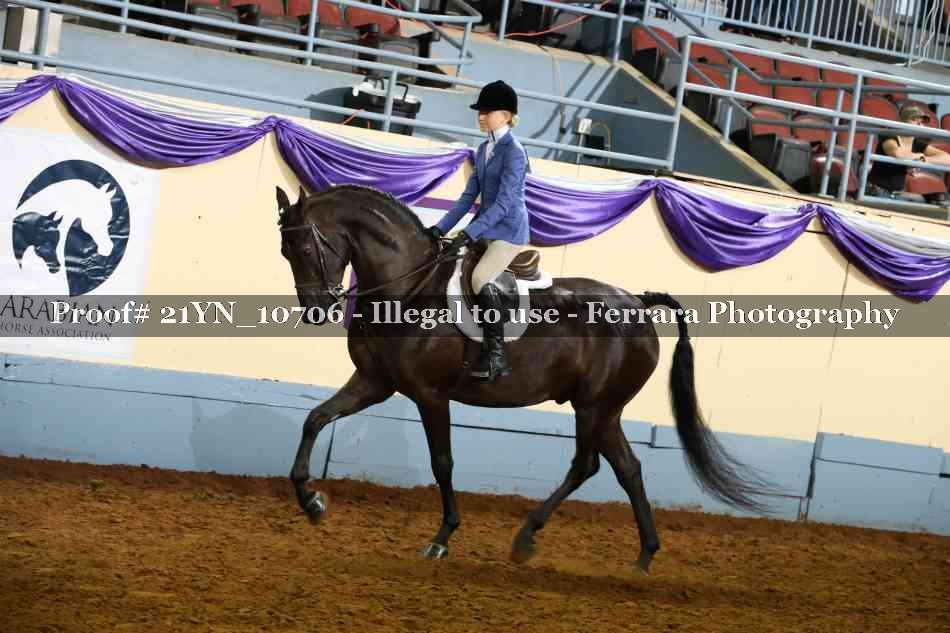 Proof 21YN_10706