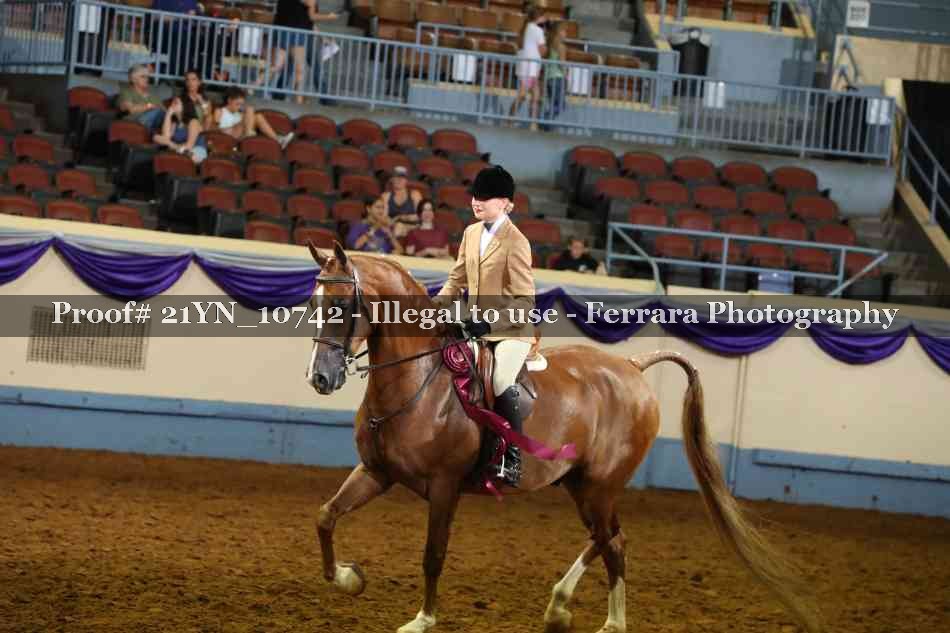 Proof 21YN_10742