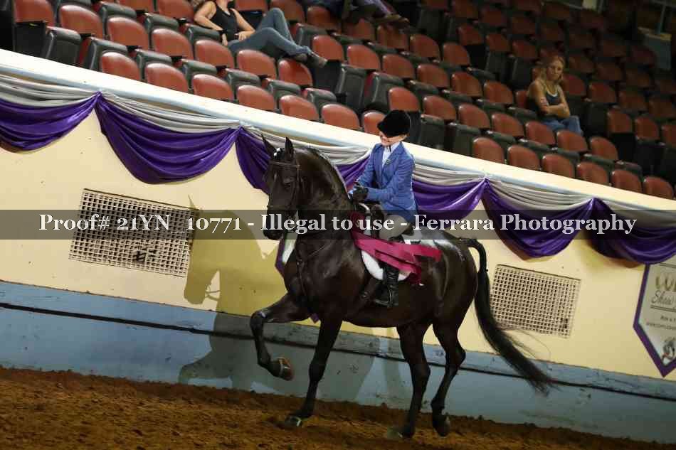 Proof 21YN_10771