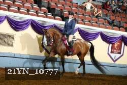 21YN_10777 proof